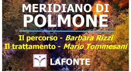 1. copertina Meridiano di Polmone